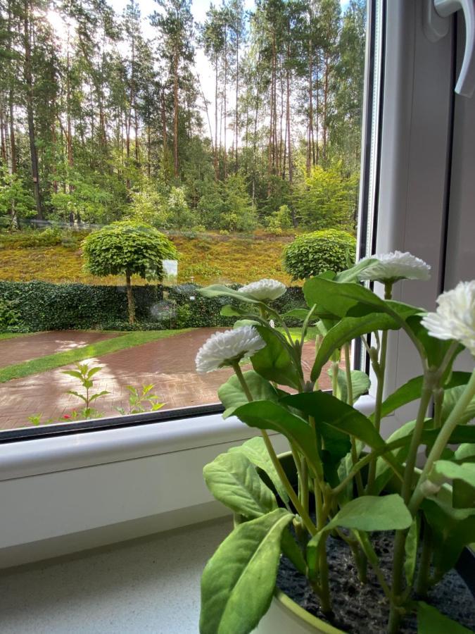Lesny Apartament Ostrzyce Bagian luar foto