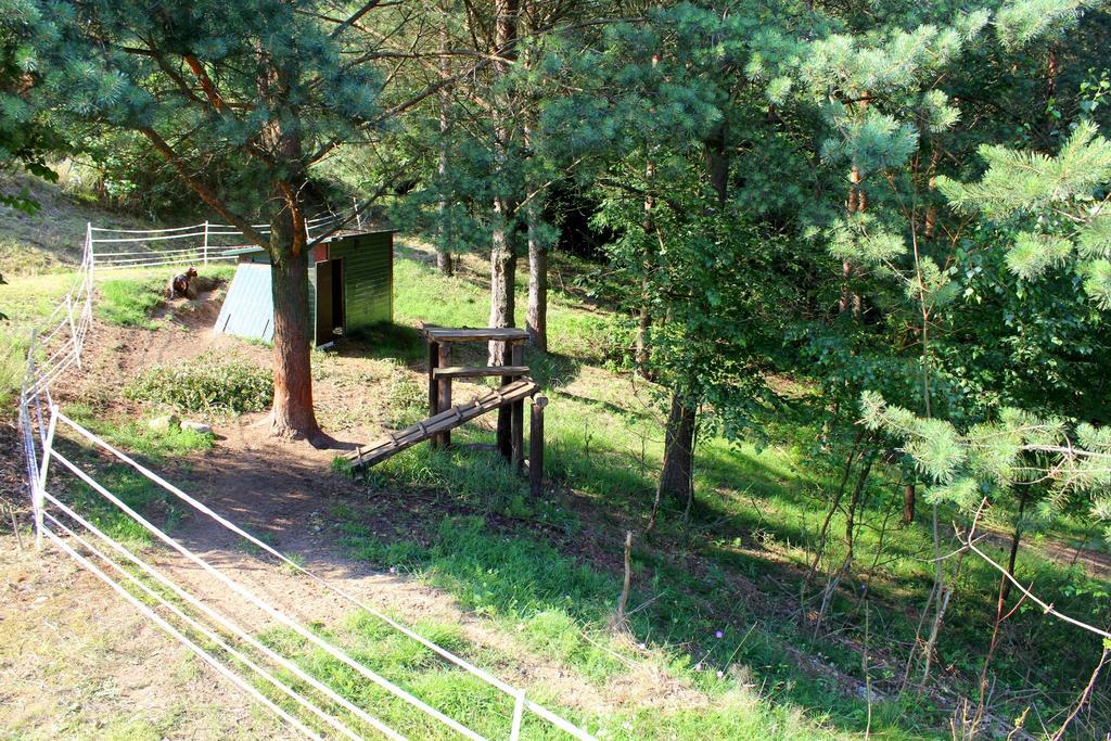 Lesny Apartament Ostrzyce Bagian luar foto