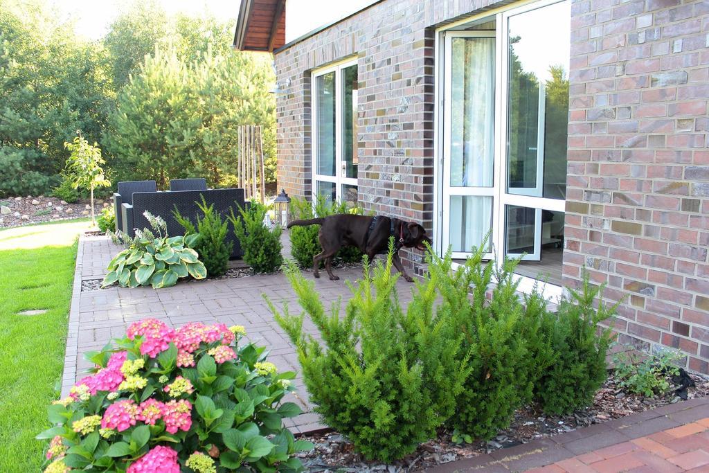 Lesny Apartament Ostrzyce Ruang foto